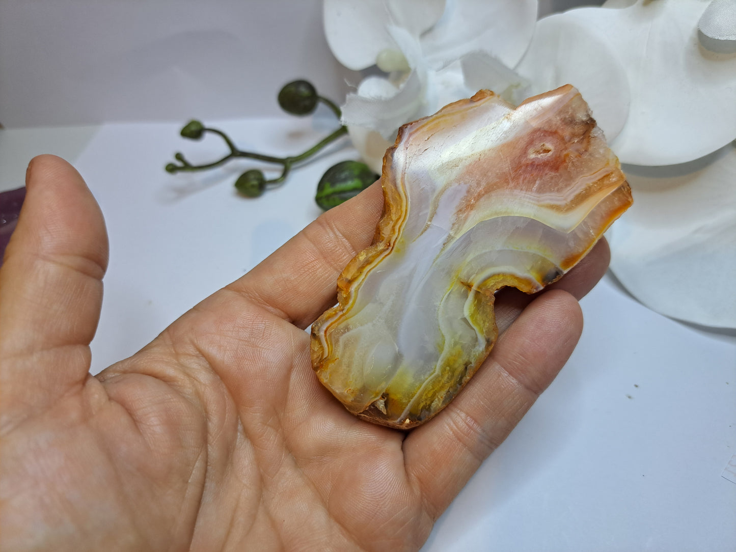 Banded Agate Slice