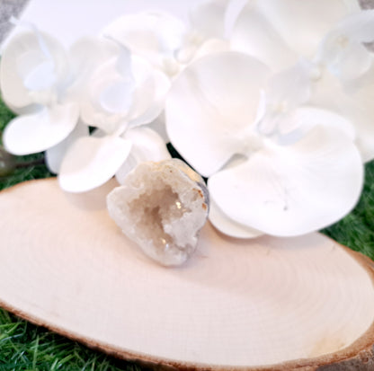 Natural agate raw geode