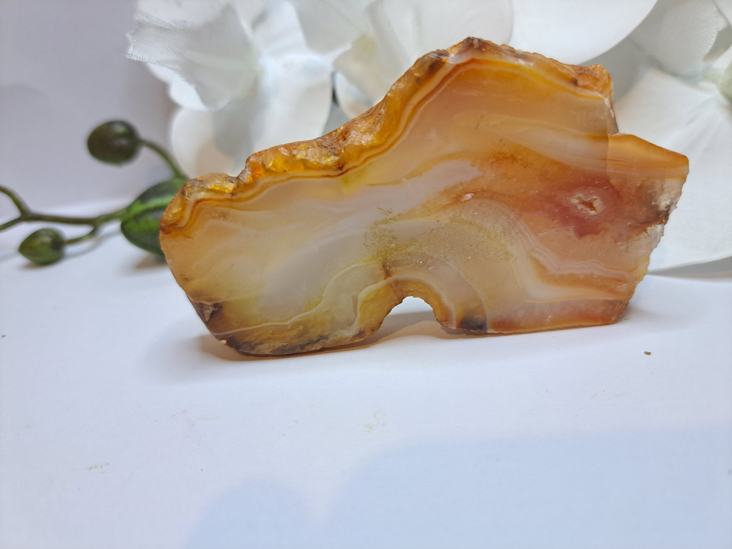 Banded Agate Slice