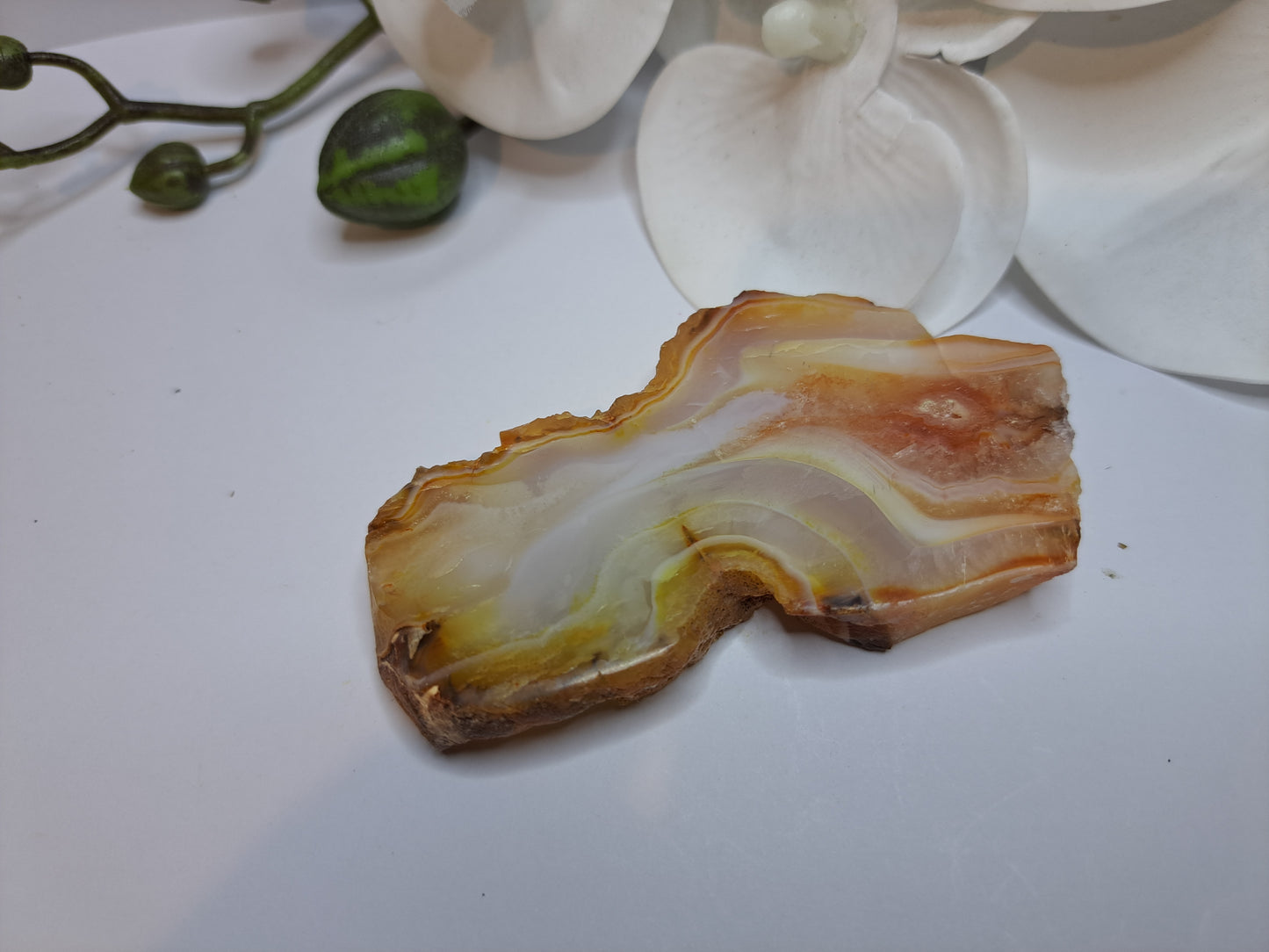 Banded Agate Slice