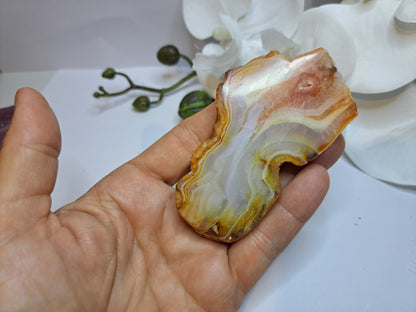 Banded Agate Slice