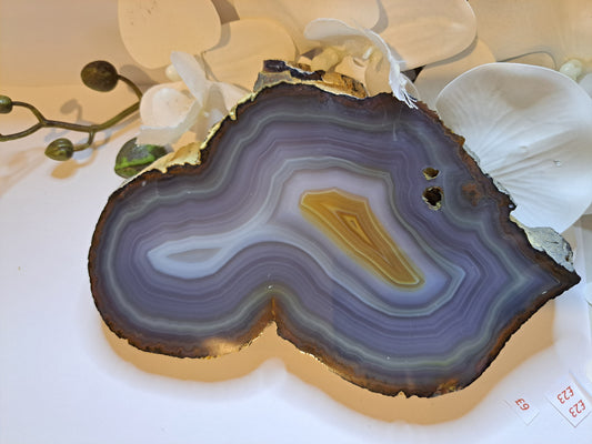 Extra Large Banded Agate slice