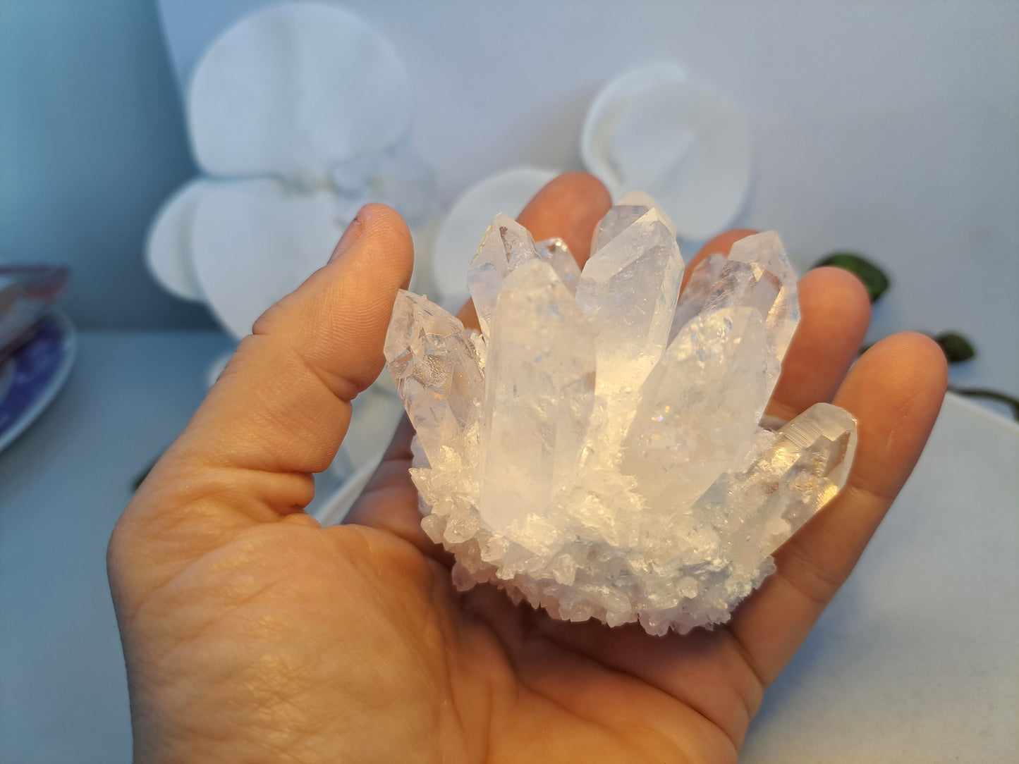 Clear Quartz Cluster