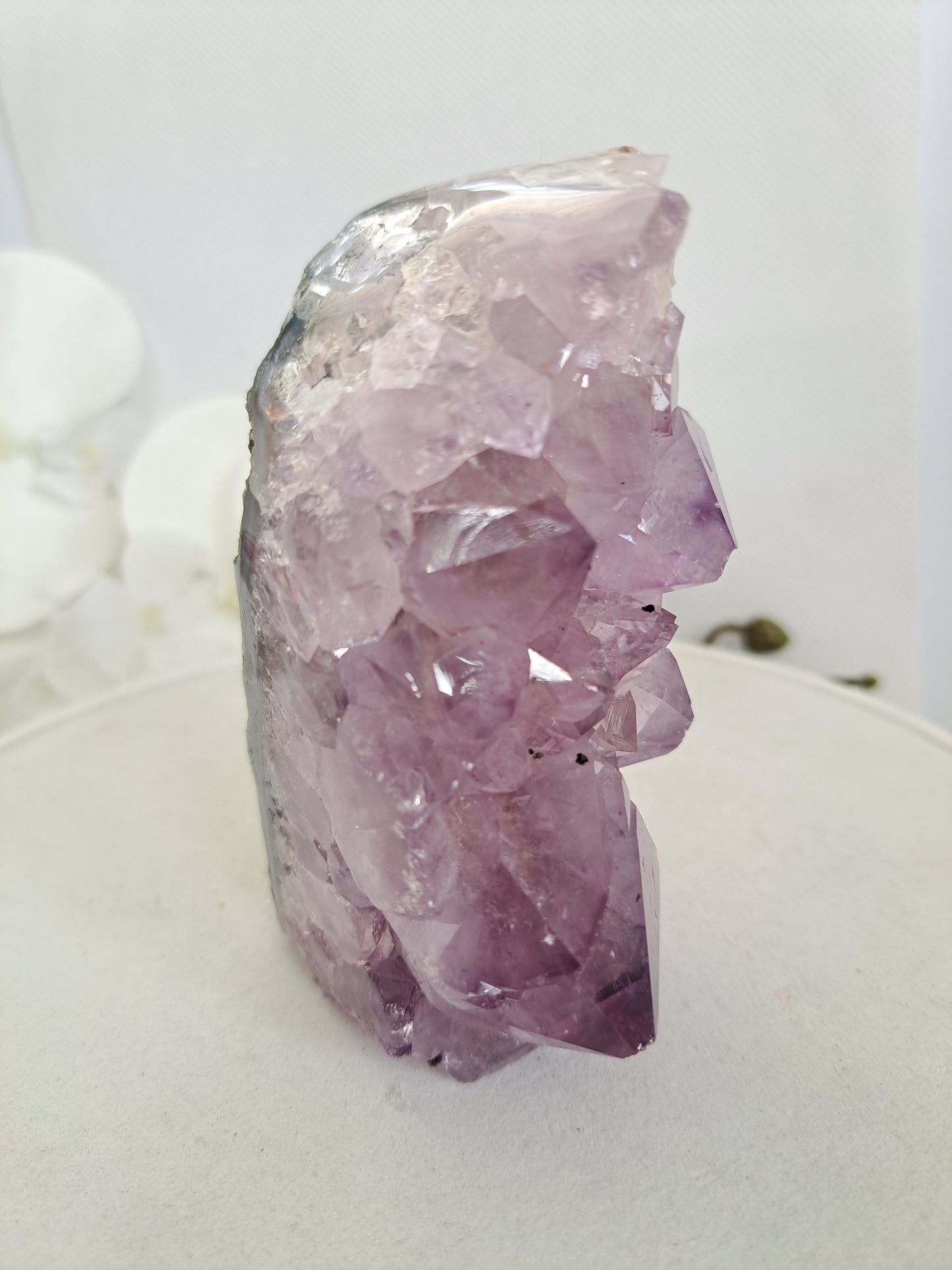 Large crystal Amethyst
