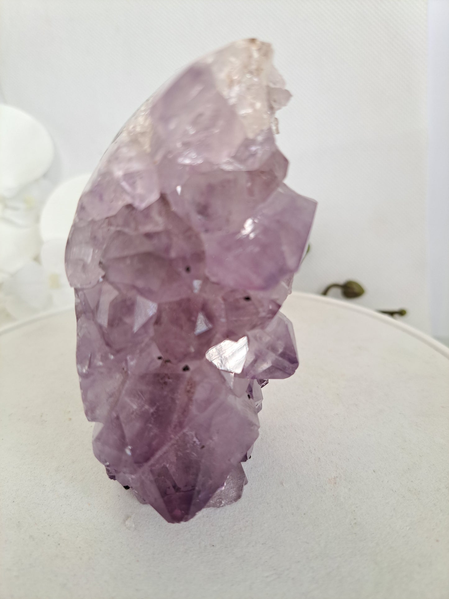 Large crystal Amethyst