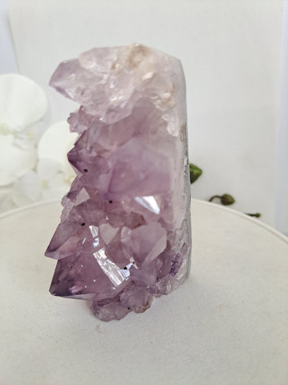 Large crystal Amethyst