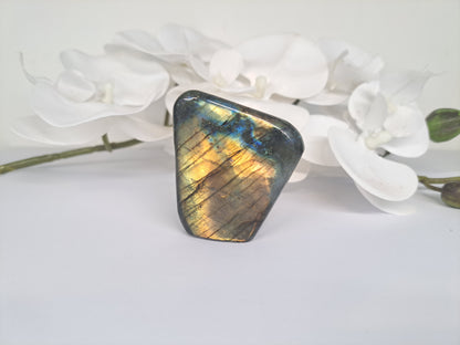 Small Labradorite free form