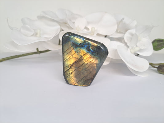 Small Labradorite free form