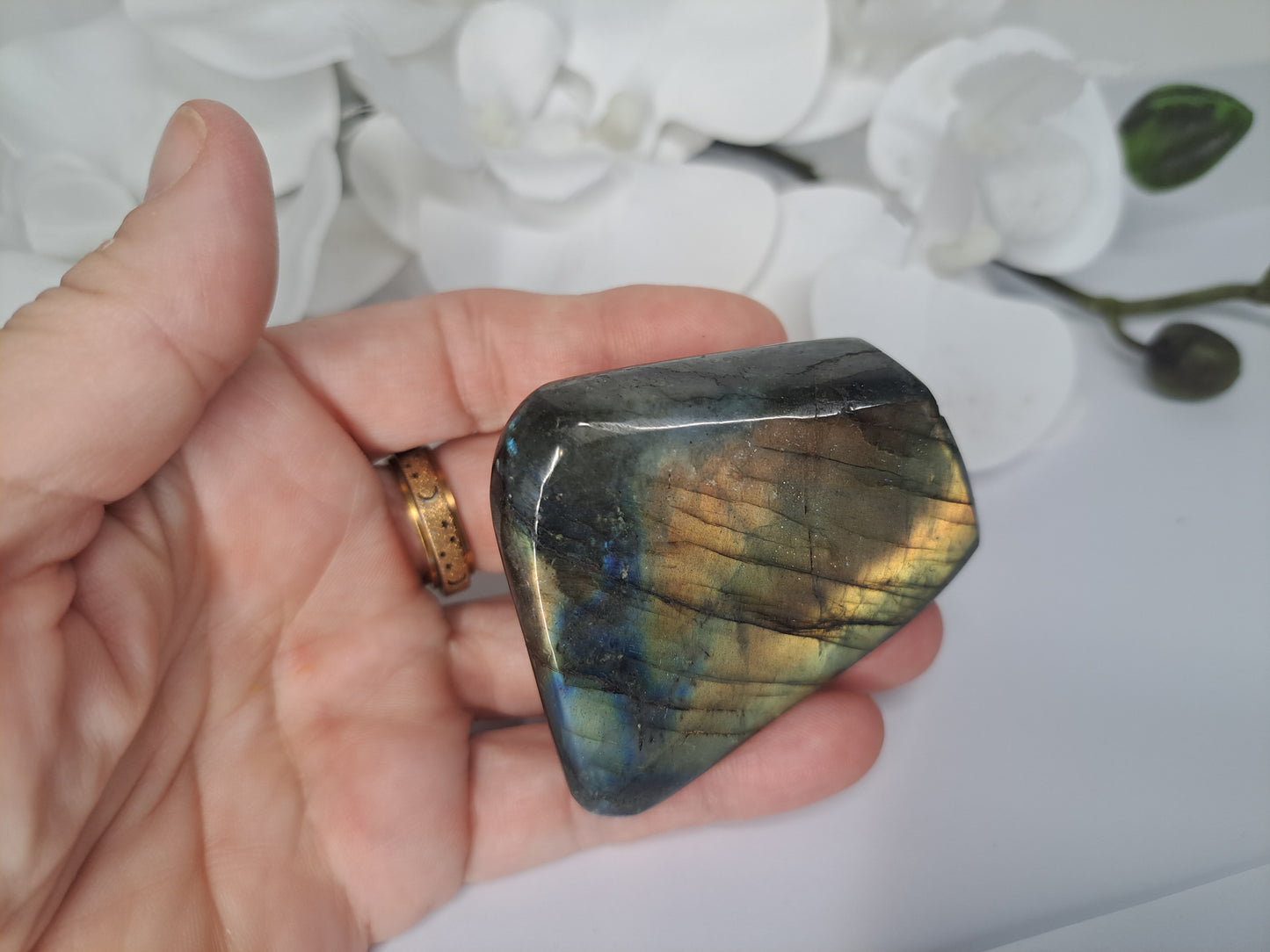 Small Labradorite free form