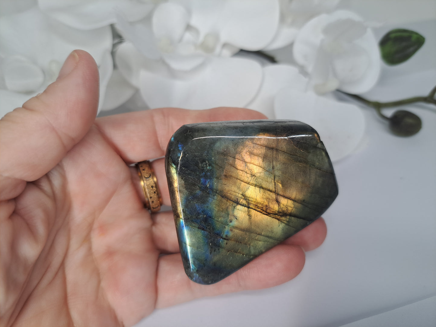 Small Labradorite free form