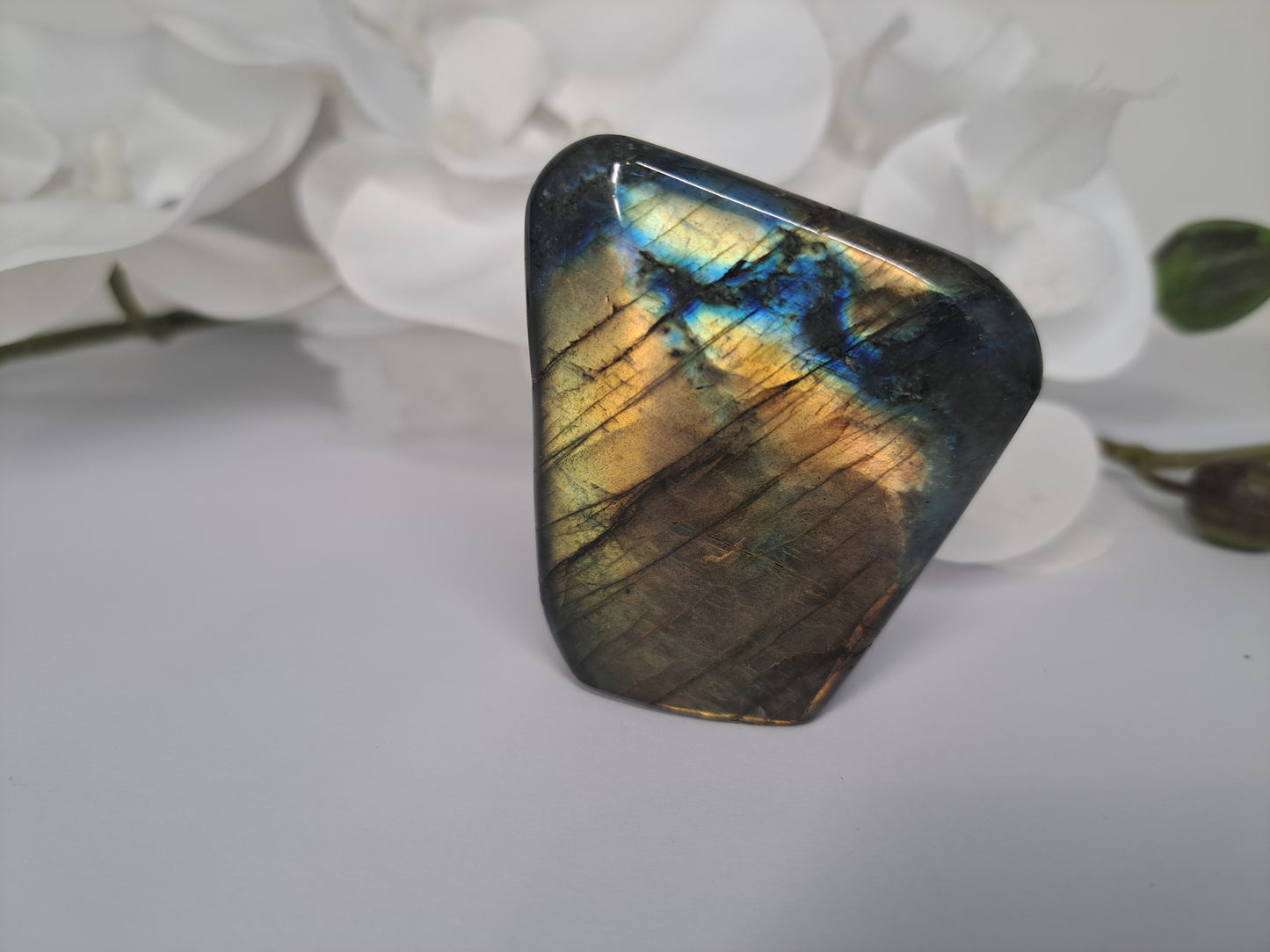 Small Labradorite free form