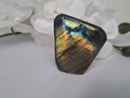 Small Labradorite free form