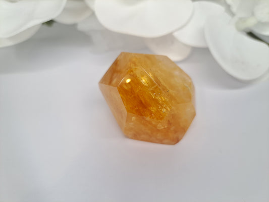 Golden Healer Free Form