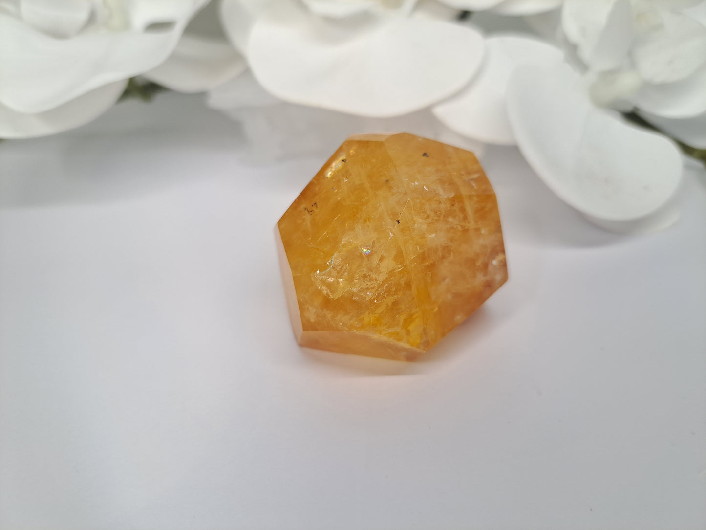 Golden Healer Free Form