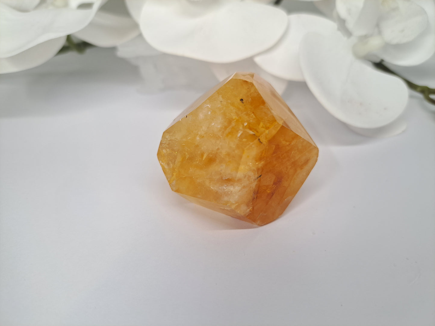 Golden Healer Free Form