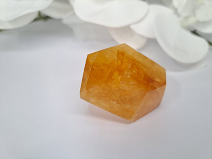 Golden Healer Free Form