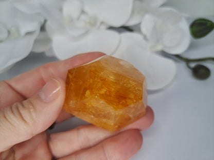 Golden Healer Free Form