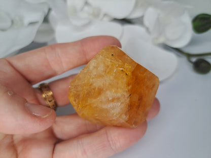 Golden Healer Free Form