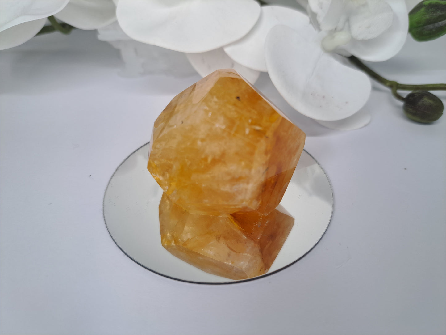 Golden Healer Free Form