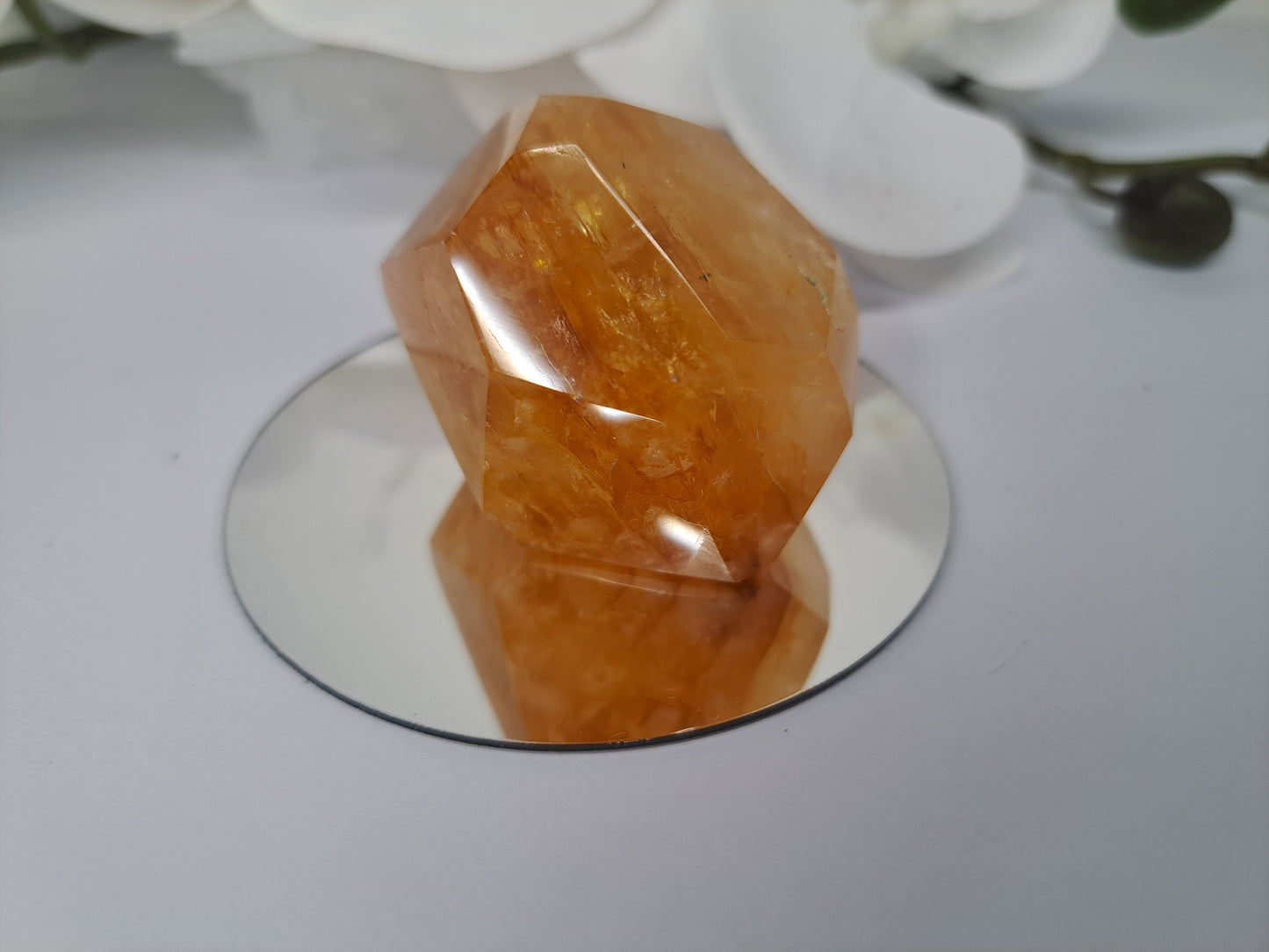 Golden Healer Free Form