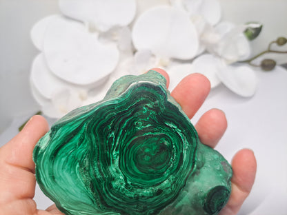Large Malachite Slice