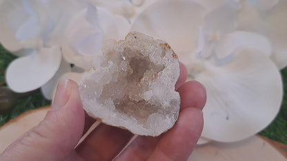 Natural agate raw geode