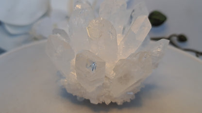Clear Quartz Cluster