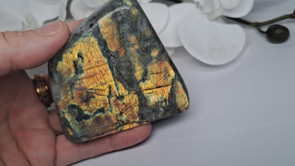 Large Labradorite free form